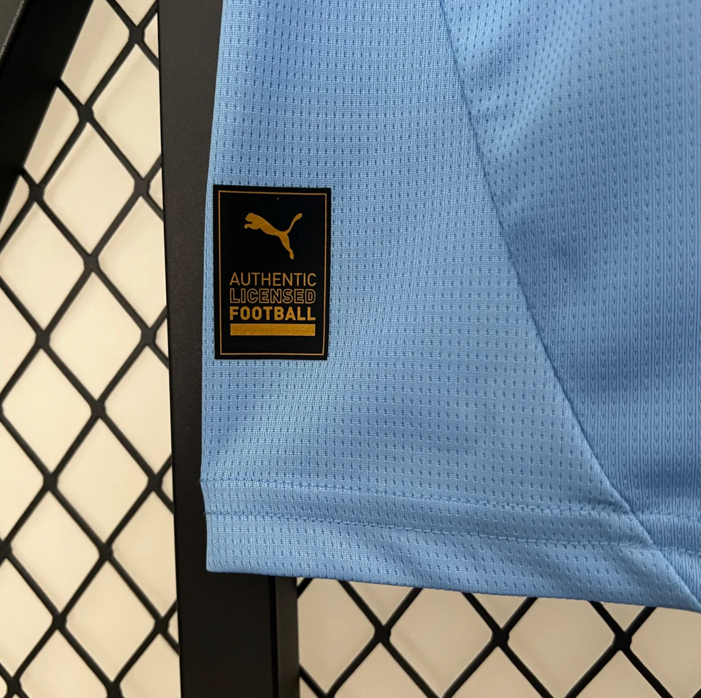 Camisola Manchester City Principal - 24/25