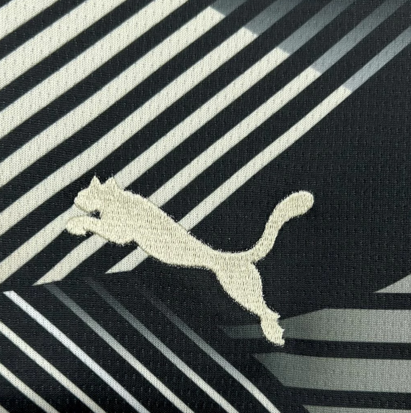 Camisola Manchester City Edição Especial - 25/26