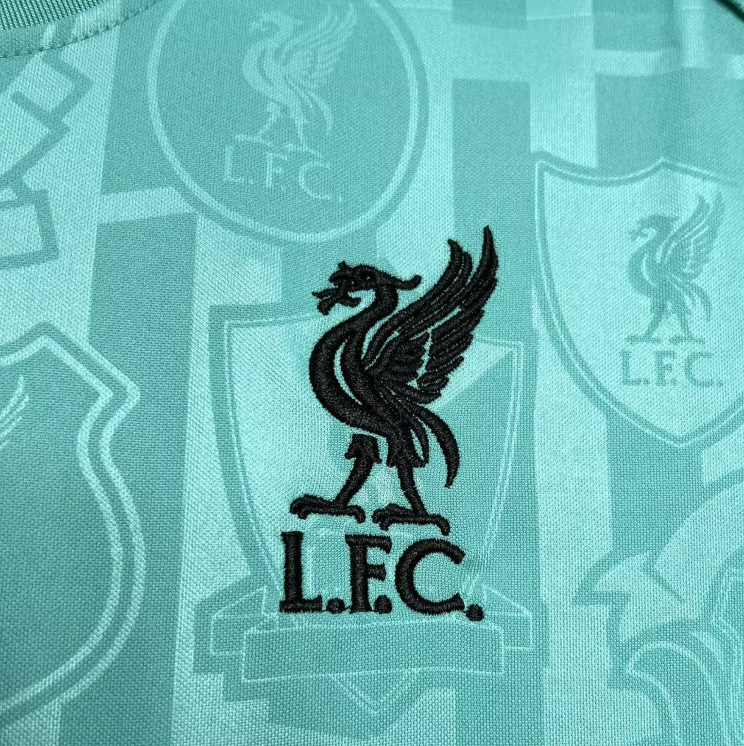 Camisola Liverpool Treino - 24/25